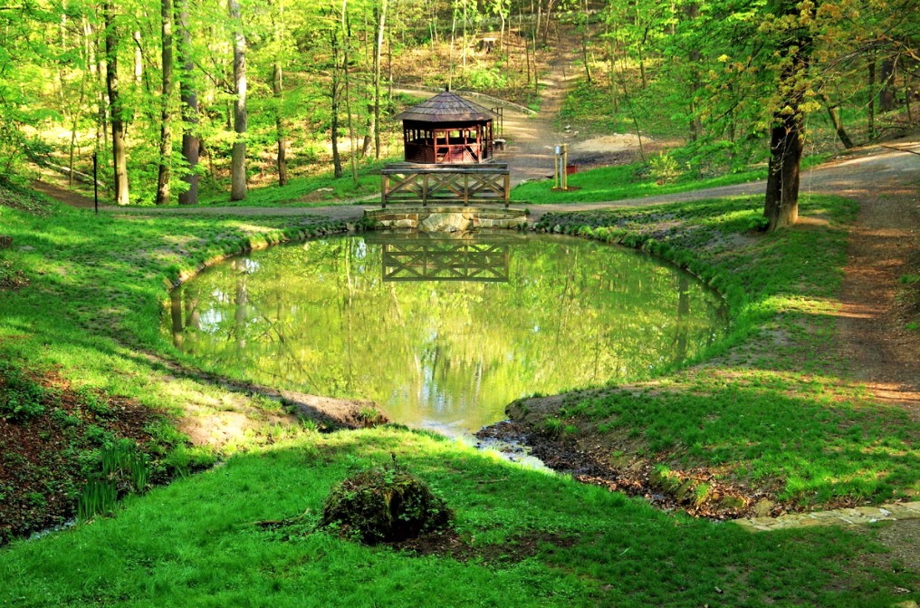Park v lokalitě